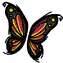 Butterfly Wings