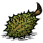 Durian
