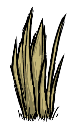 Grass Tuft