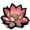 Lotus Flower