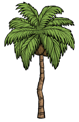 Palm Tree
