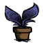 Potted Fern