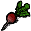Radish