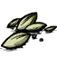 Seeds